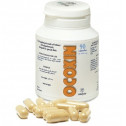 Ocoxin food supplement 300mg 90 caps. Catalysis